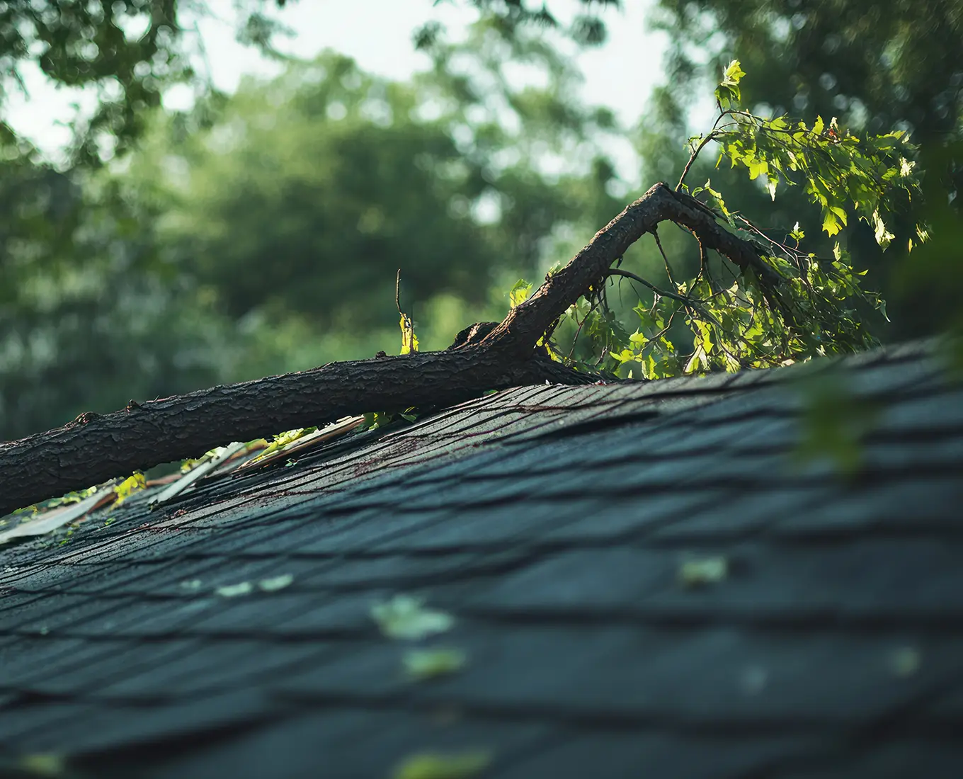 Storm damaged roof needing repair