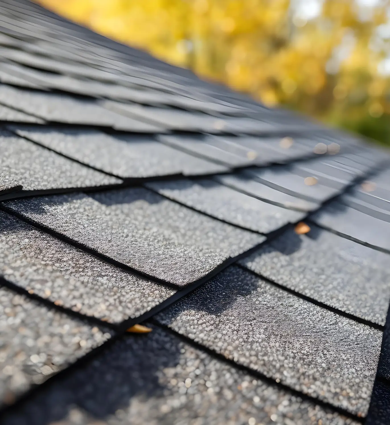 CertainTeed Shingle Roofing on residential house in st louis mo