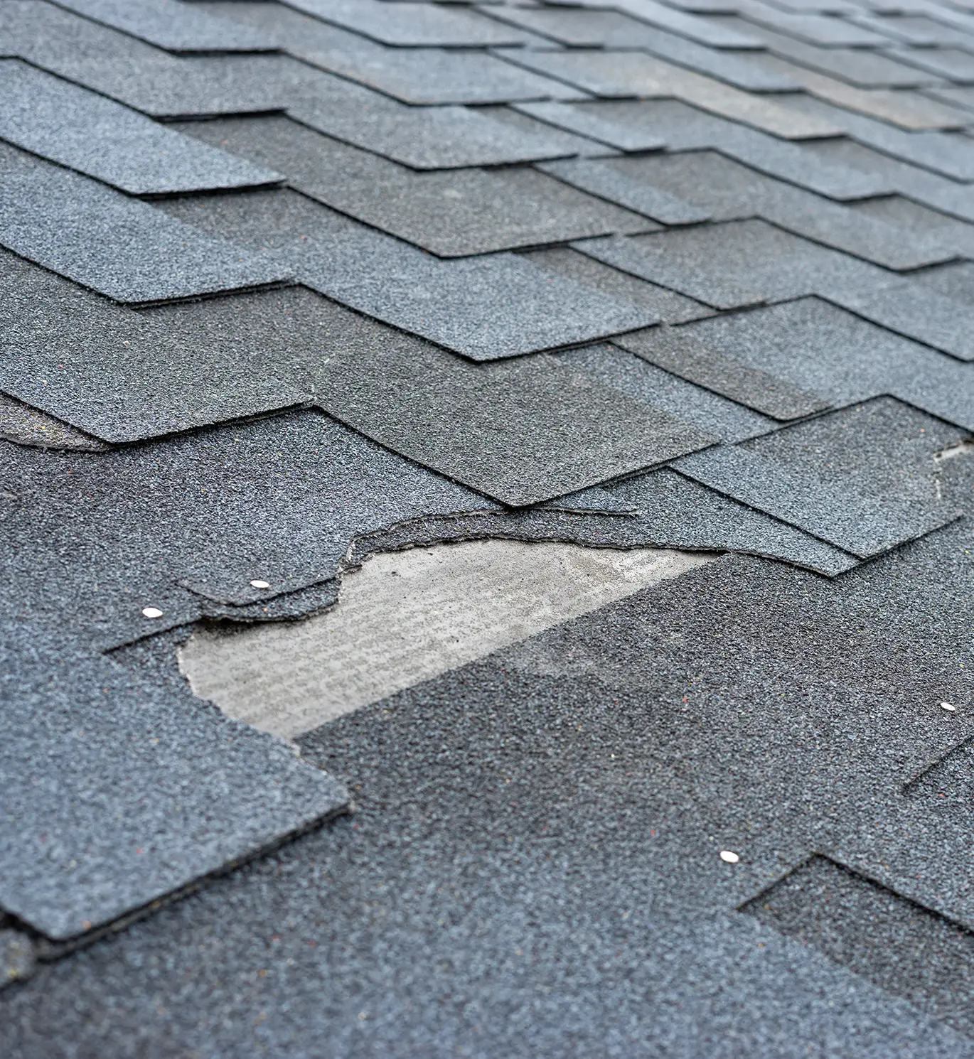 asphalt shingles roof damage that needs repair in st louis mo